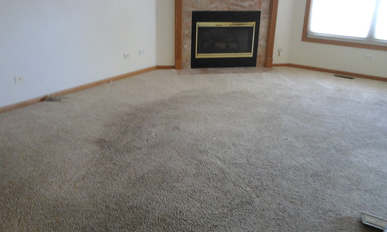 Before Carpet Cleaning